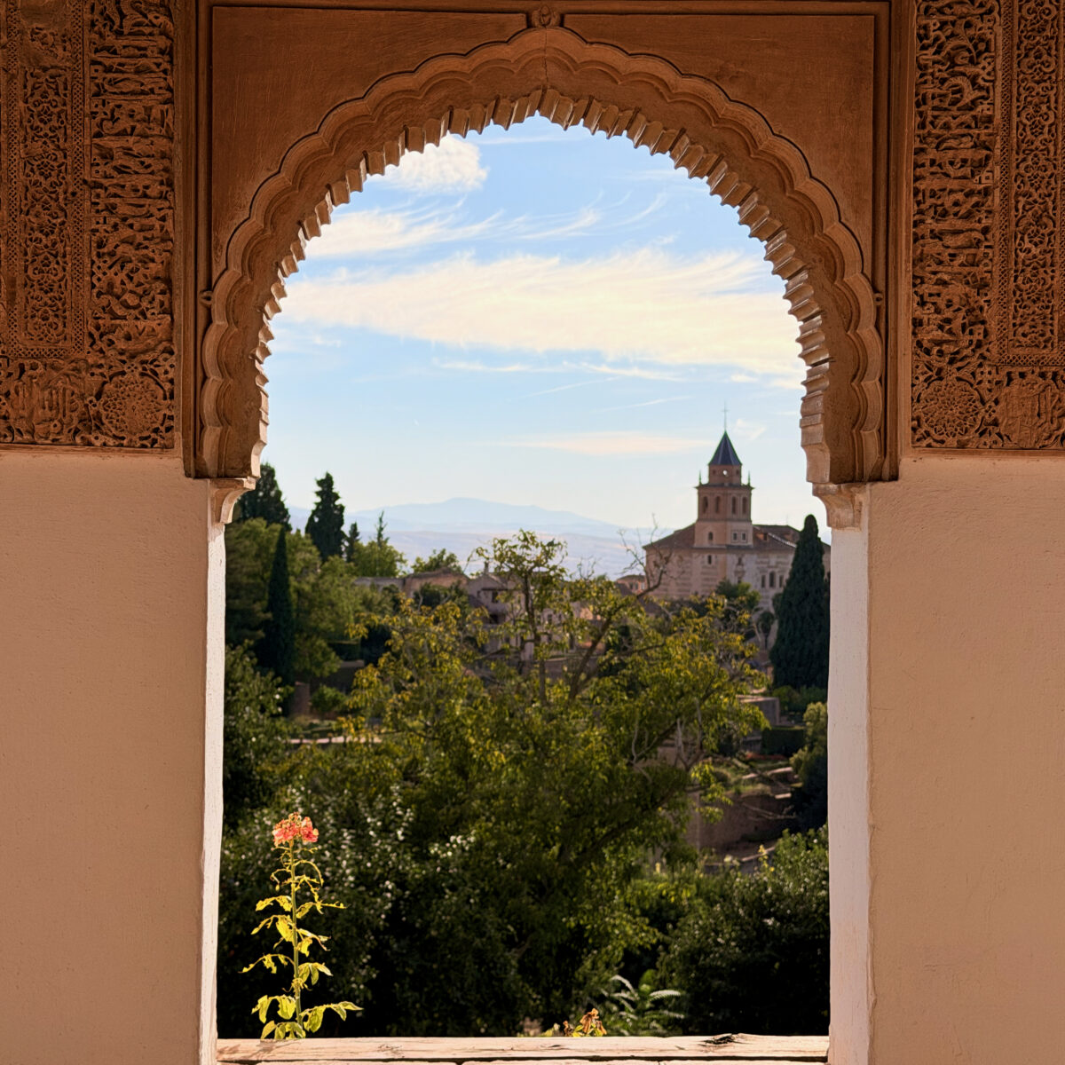 Arched window with ornate carved surround opens to a garden and distant tower under a blue sky.
