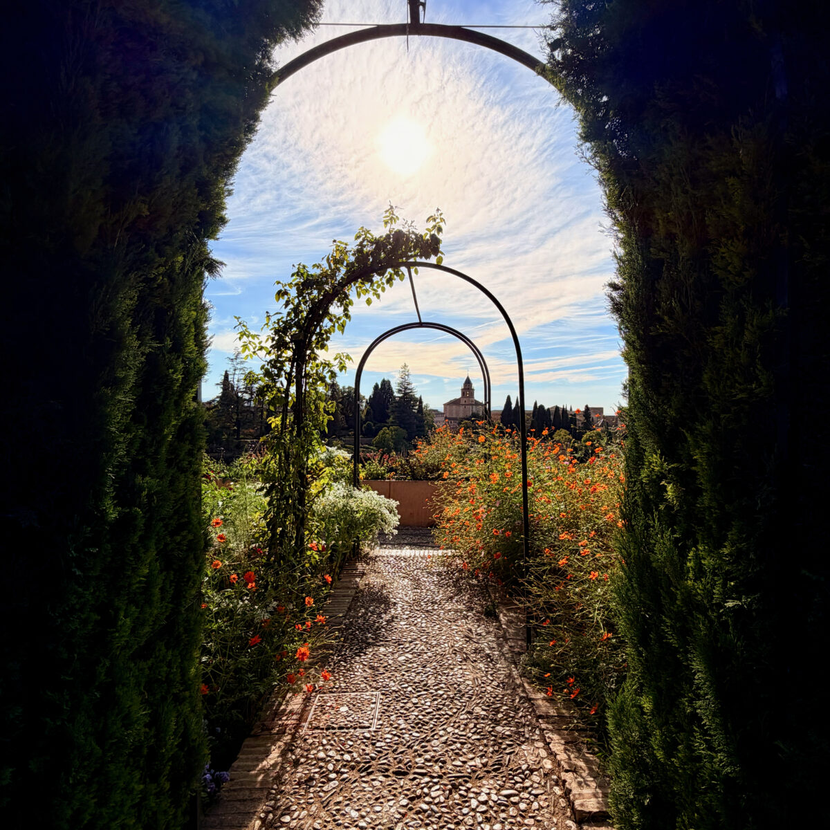 Sunlit cobblestone path lined with orange flowers and arched metal structures, framed by tall green hedges, leading to a distant building under a blue sky.