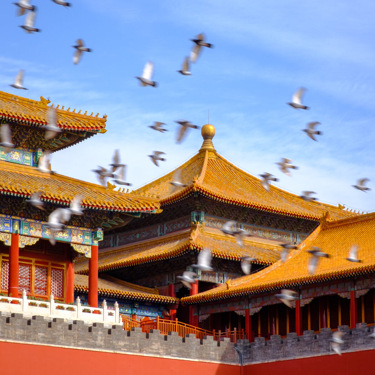 Birds flying over traditional Chinese temple rooftops with golden tiled roofs and ornate blue-green trim against a clear blue sky.