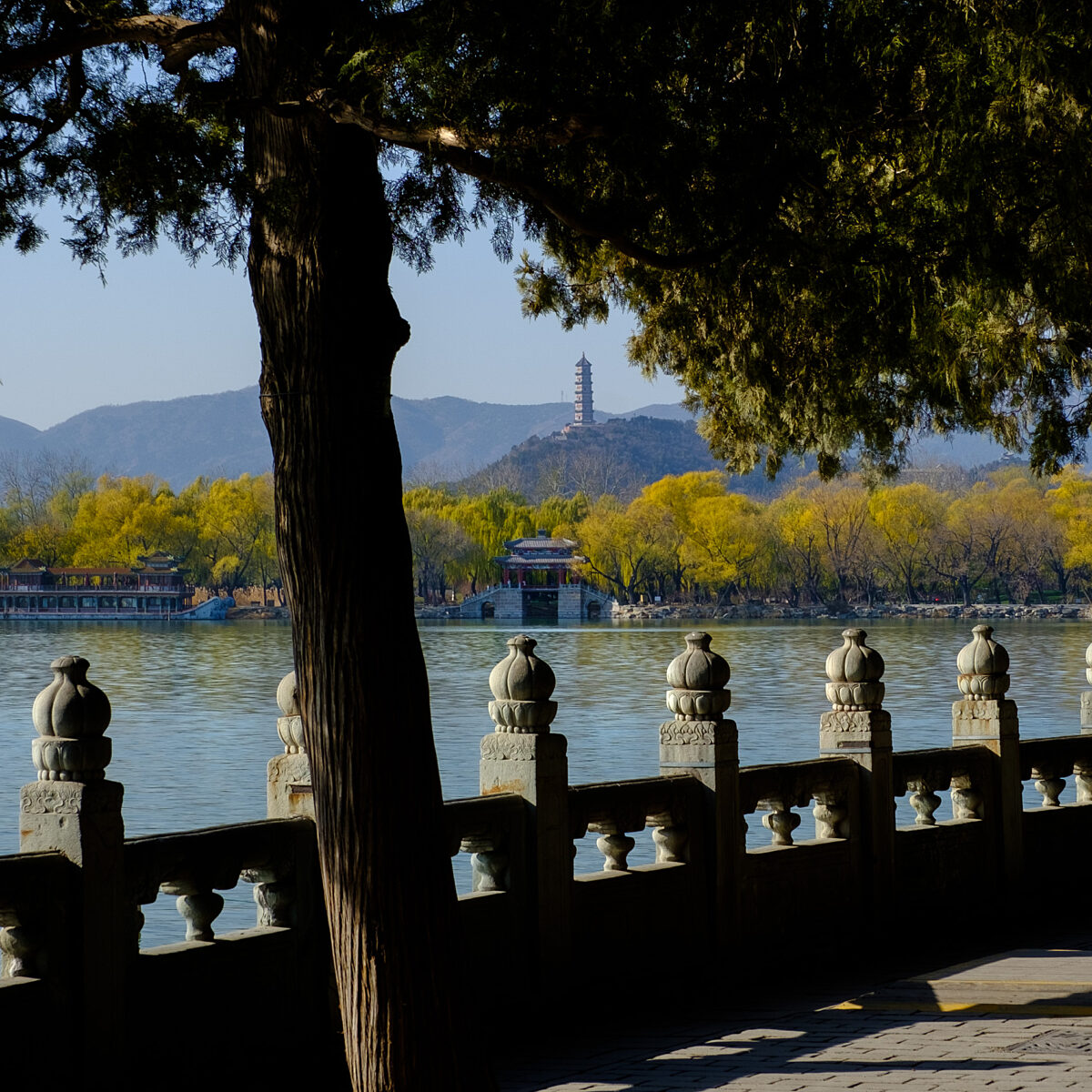 A lakeside scene with a stone railing adorned by carved posts, a large tree trunk in the foreground, calm water, distant yellow trees, and a pagoda-style structure on a hill.