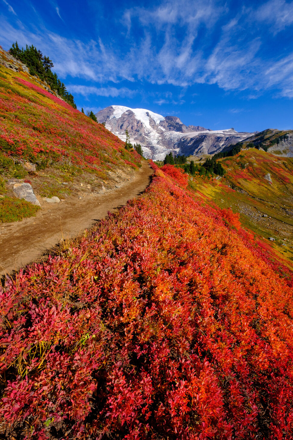 Trail winds through a hillside blanketed in red and orange shrubs toward a snow-capped mountain under a bright blue sky.
