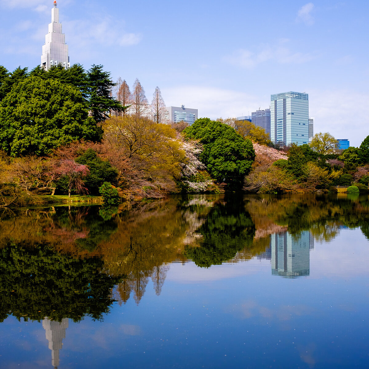 A lakeside park with colorful trees reflecting in calm water, and a city skyline with tall white and glass buildings in the background.