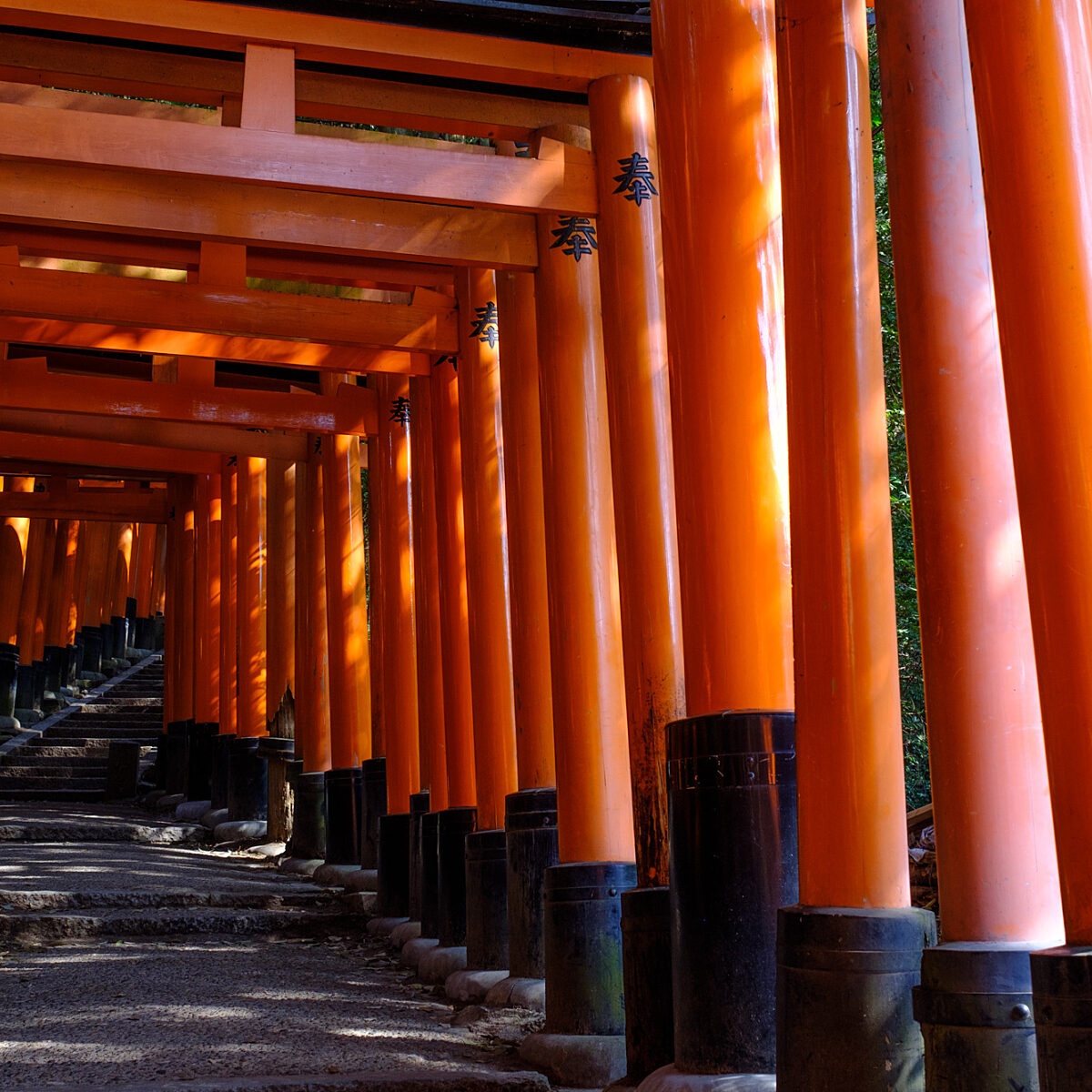 Row of bright orange torii gates forming a covered path, with stone steps and dark bases, sunlight creating shadows along the walkway.