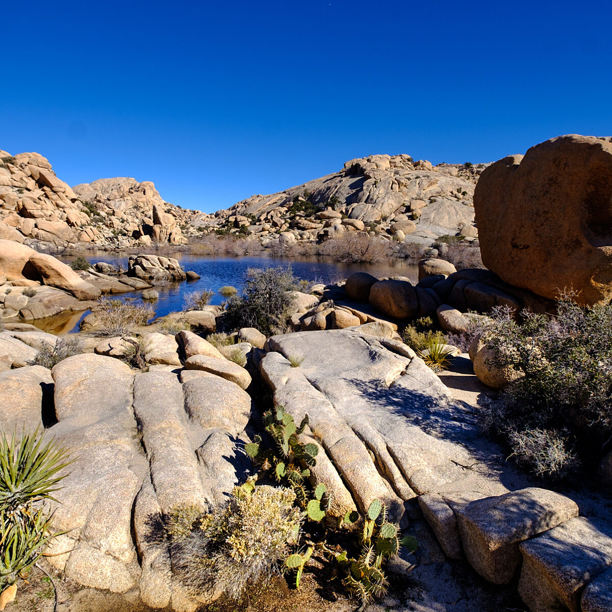 Desert landscape with large weathered granite boulders, a calm blue pond, and sparse desert plants under a clear blue sky.