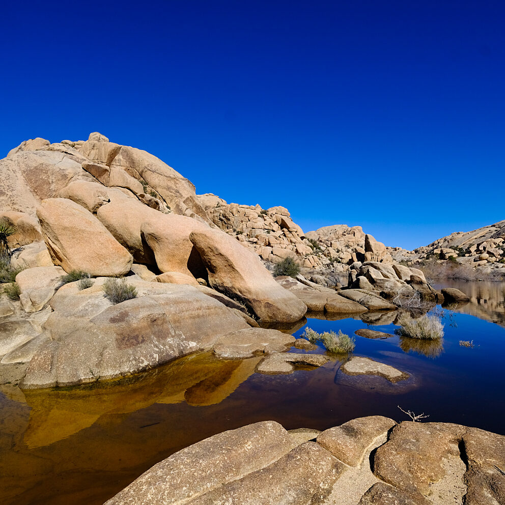 Desert rocky landscape with large beige boulders, sparse shrubs, and a calm reflective pool mirroring the clear blue sky.