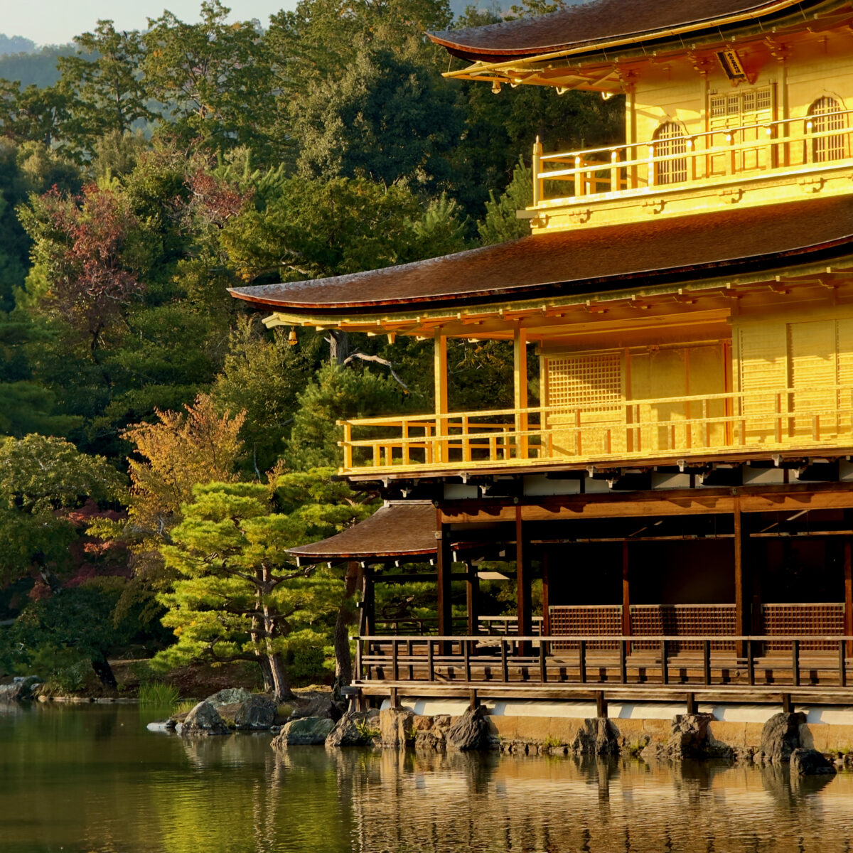 Golden, multi-tiered pagoda by the water, with reflections, perched on rocky shoreline amid green trees.