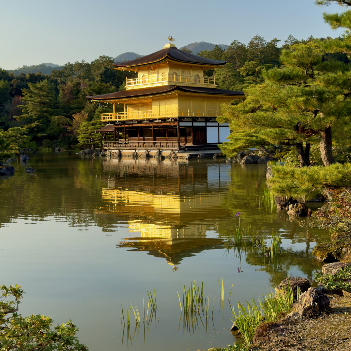 Golden Kinkaku-ji pavilion sits on a calm lake, surrounded by trees, with its reflection shimmering in the water.