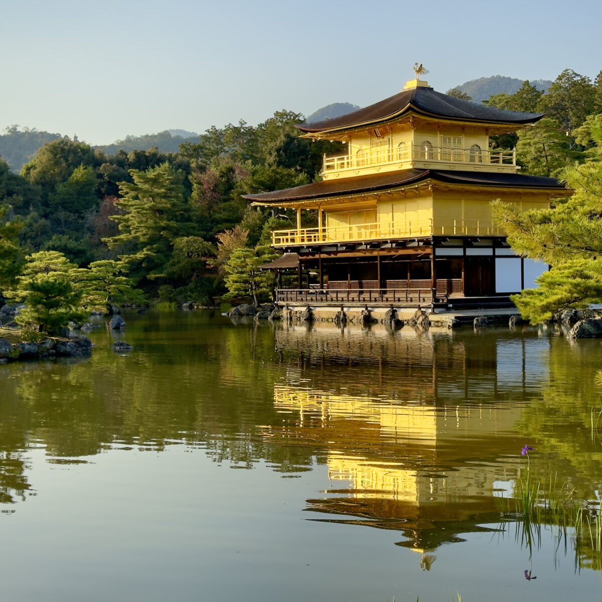 Golden koto-like pavilion sits on a pond, its reflection shimmering with surrounding trees and hills in the background.
