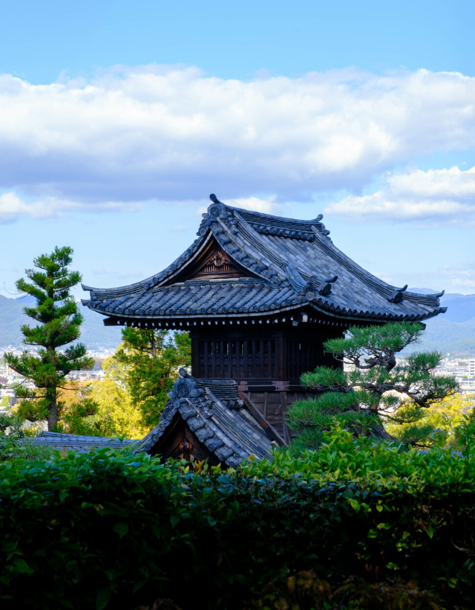 Traditional wooden Japanese temple with ornate tiled roof, surrounded by green shrubs and trees, under a blue sky.