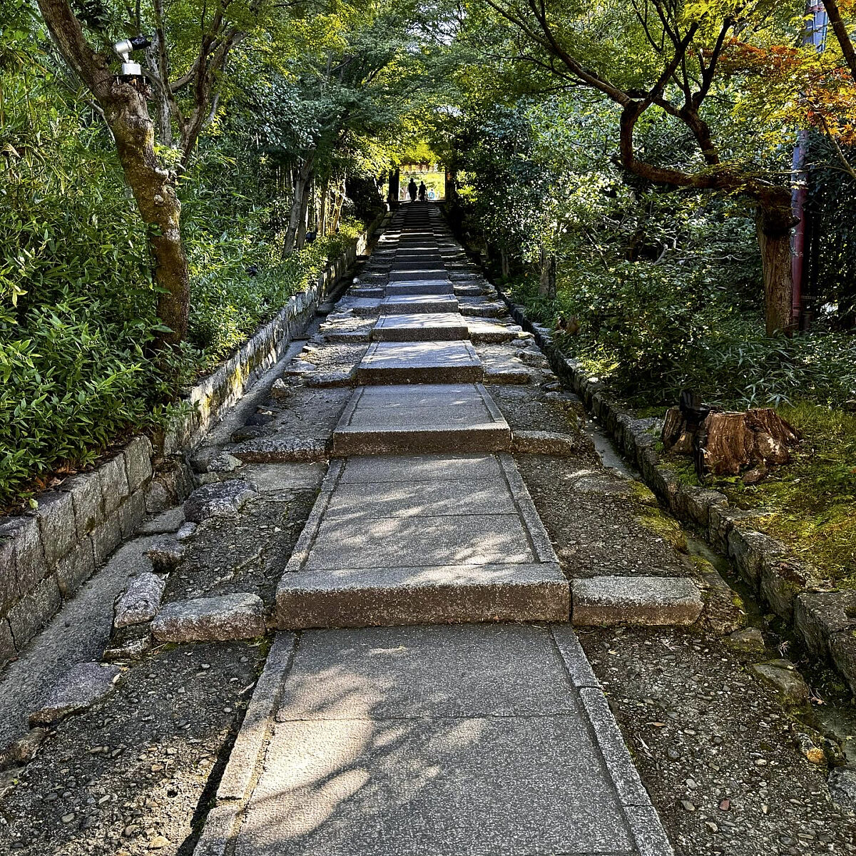 Stone steps form a long path through a green, garden-like corridor with trees and shrubs on both sides, leading toward a distant group of people.