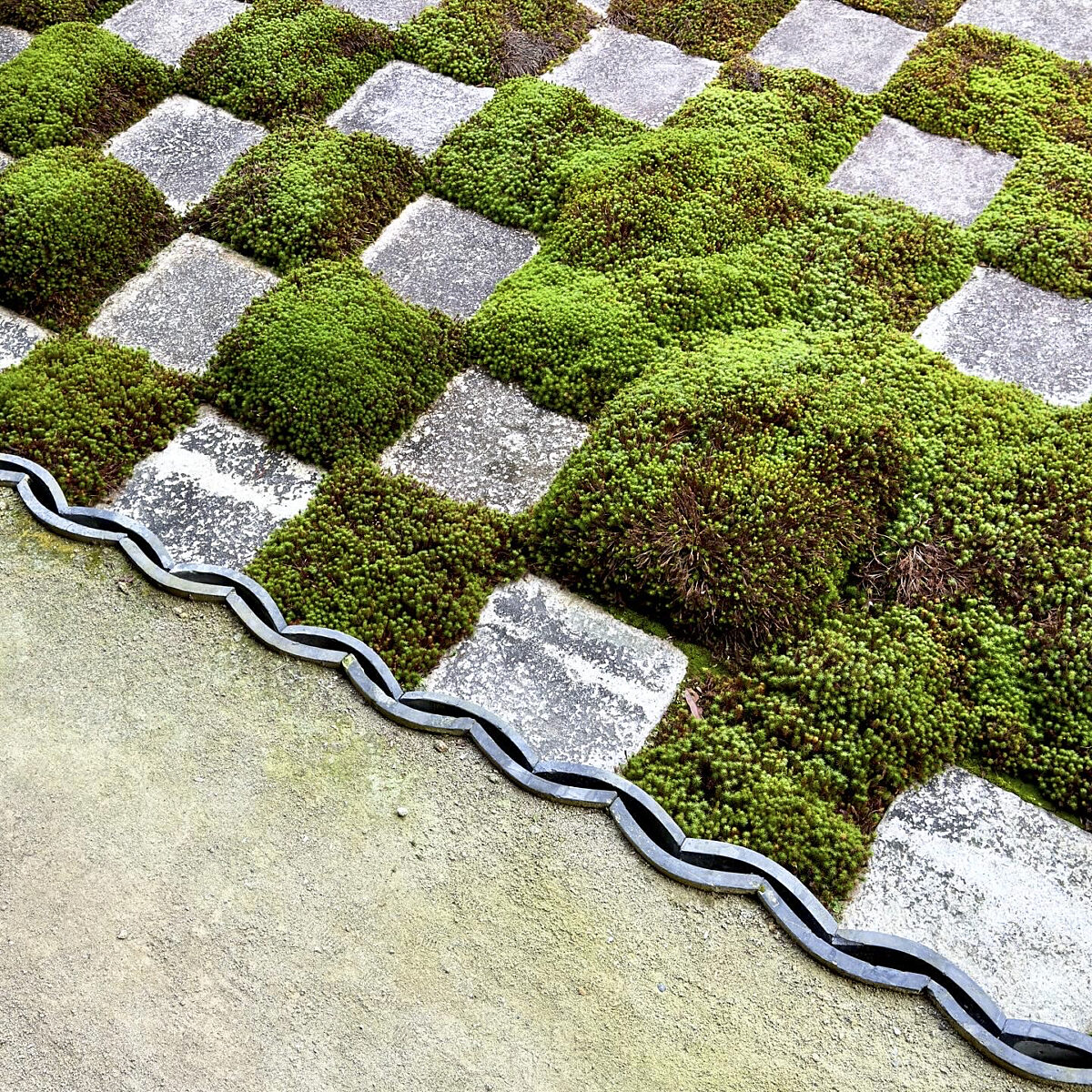 Moss-covered square grid edging a stone path, with a wavy blue-gray border separating the greenery from the beige ground.