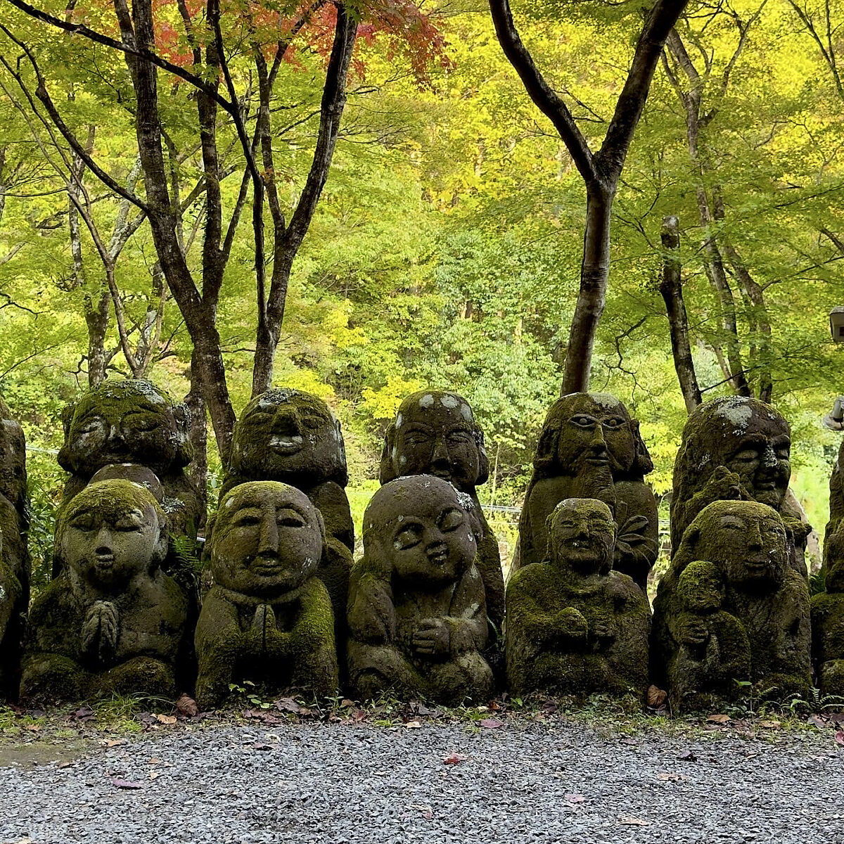 Row of moss-covered stone Buddha statues seated outdoors, framed by green and autumn-colored trees on a gravel ground.