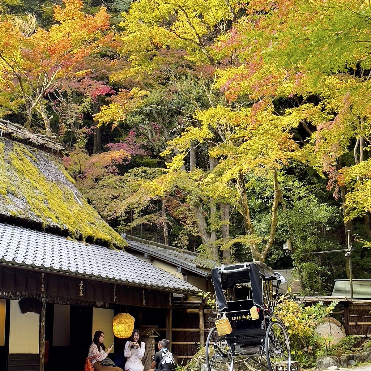 Rickshaw parked on a street beside a thatched-roof building, with three people seated and trees in autumn colors overhead.