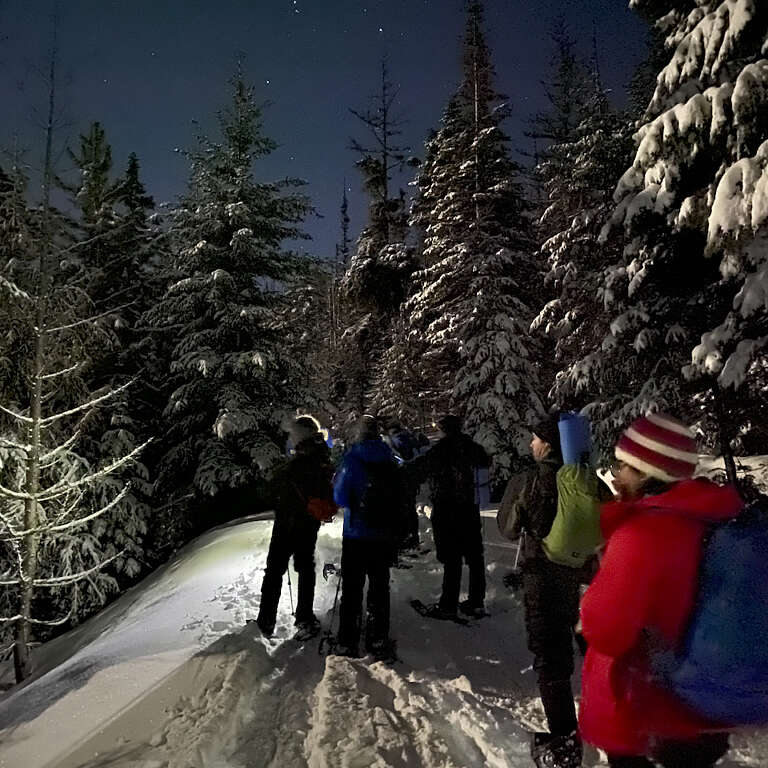 Group of hikers in winter gear pause on a snow-covered forest trail at night, tall snow-laden evergreen trees surrounding them.