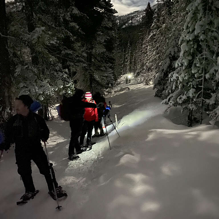 Group of hikers in winter gear line a snowy forest trail with snow-covered trees and a distant light source in the background.