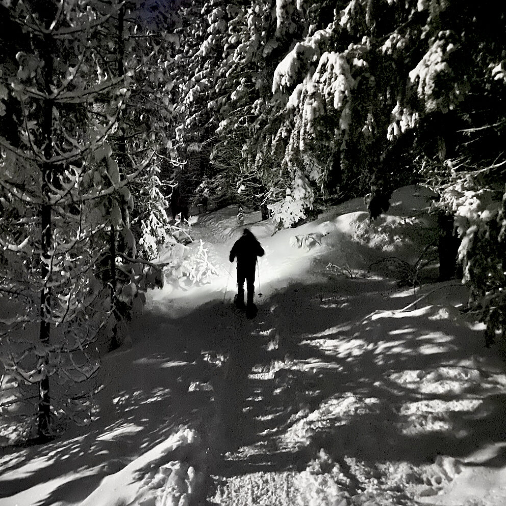 A person with a backpack is walking on a snow-covered forest trail at night, illuminated by a headlamp, surrounded by tall snow-laden trees.