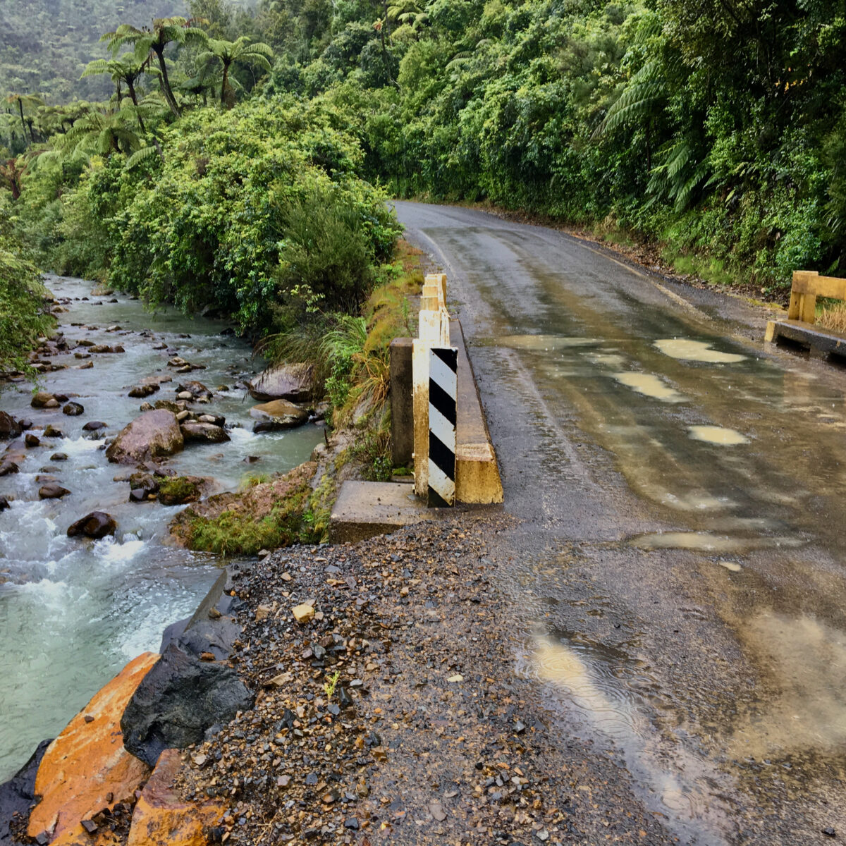 Winding wet asphalt road beside a rushing river, with dense green jungle and rocky embankments on both sides.