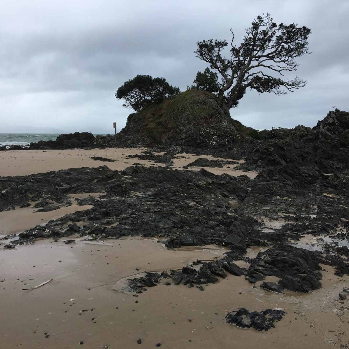A windswept rocky shoreline with jagged black rocks, sparse sand, and a lone twisted tree atop a small hill against a gray cloudy sky.