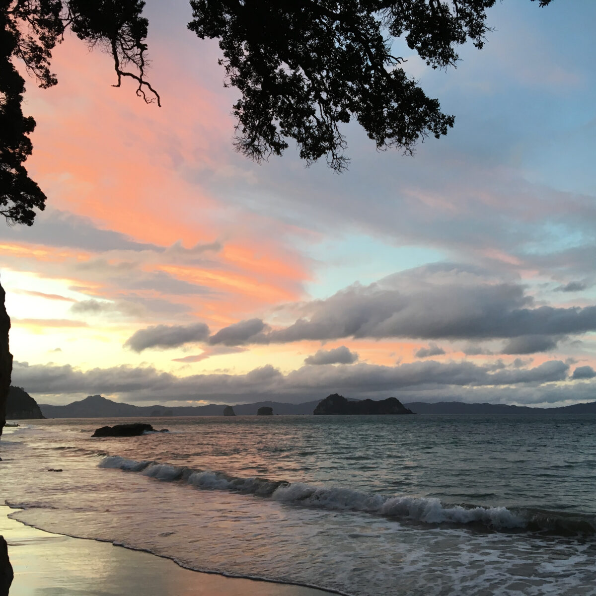 Cliffs and tree branches frame a calm ocean at sunset, with pastel pinks and blues in the sky and gentle waves along the shore.