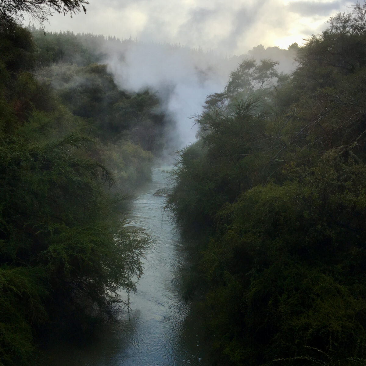 A misty river winds through a dense forest, with steam or fog rising between the trees and soft light breaking through the cloudy sky.
