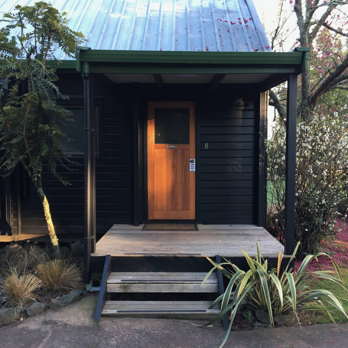 Dark exterior doorway with wooden door under a small covered porch, surrounded by plants and a metal roof above.