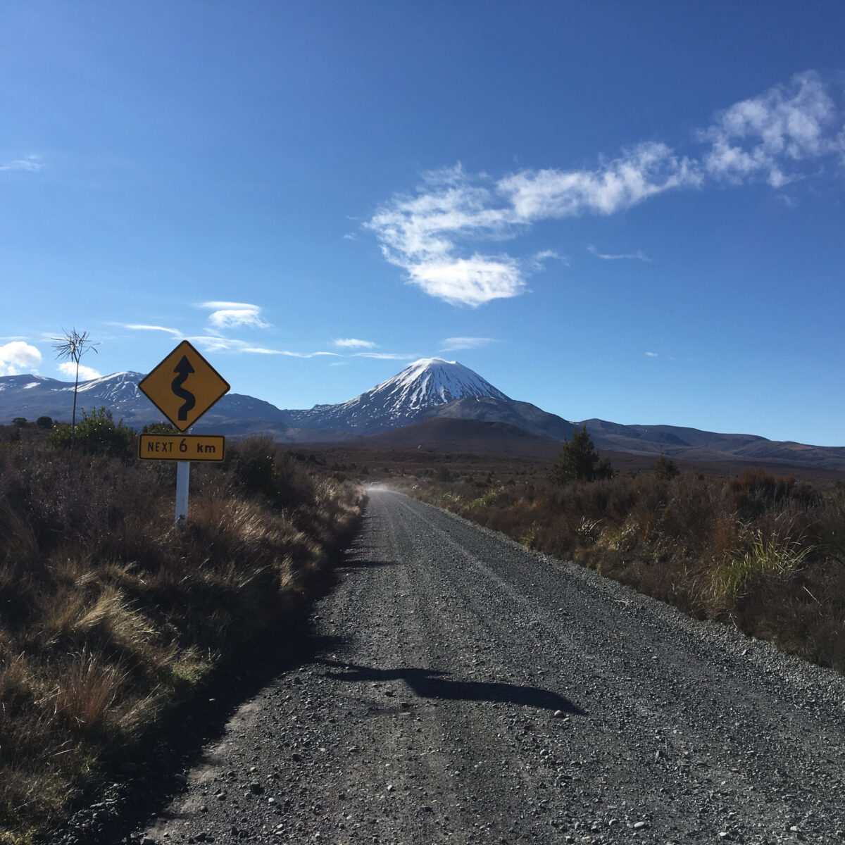 Desert road with a curving warning sign, dry shrubbery, and snow-capped mountains under a blue sky.
