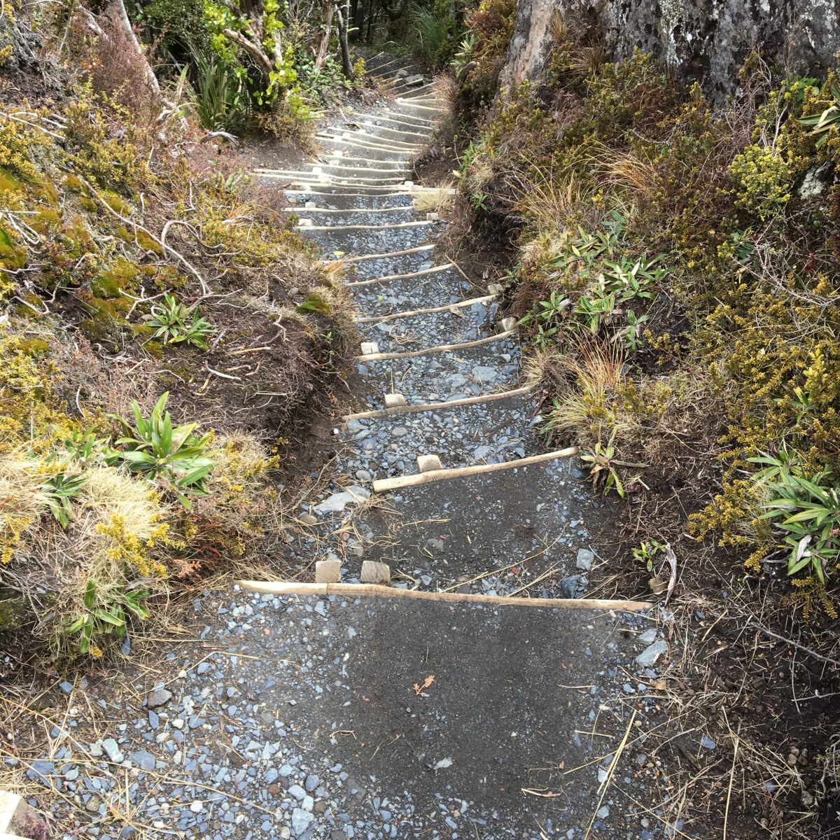 Rock-and-dirt trail with wooden steps winding uphill through sparse shrubs and rocky terrain.