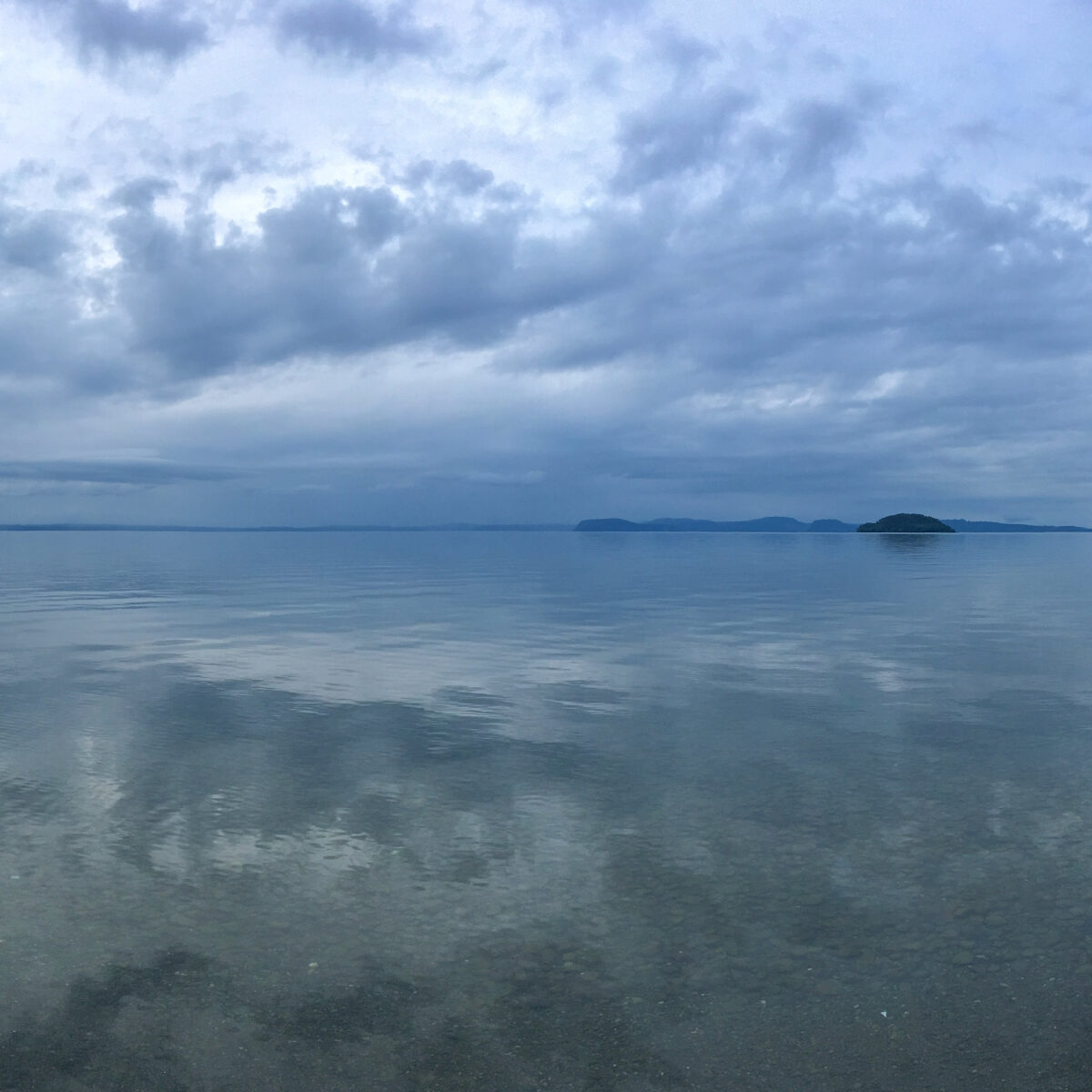 Wide tranquil lake under cloudy sky with distant islands; two black swans glide near the shore in shallow water.
