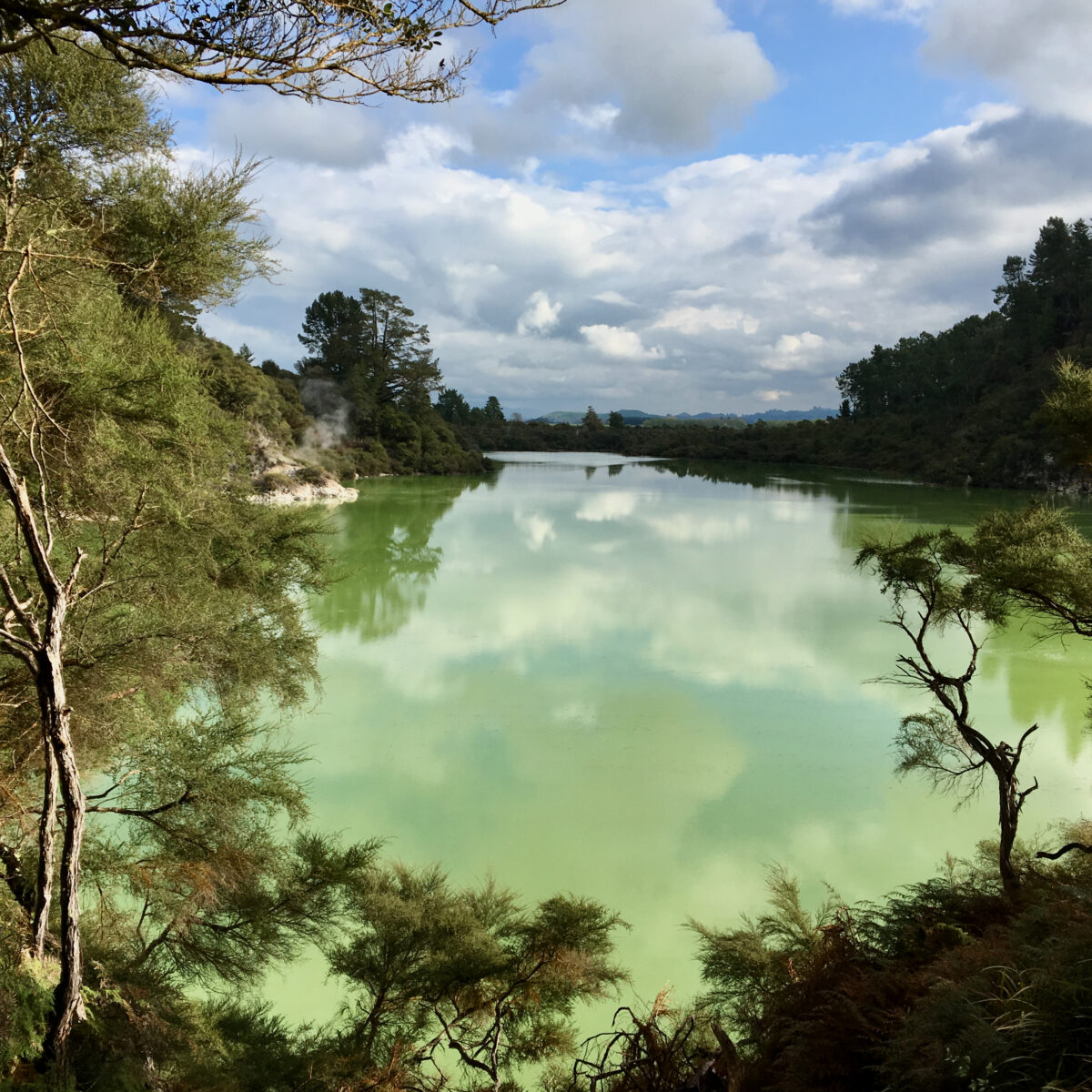 Lush green lake surrounded by dense trees under a partly cloudy blue sky, with reflections on the water and distant hills across the water.