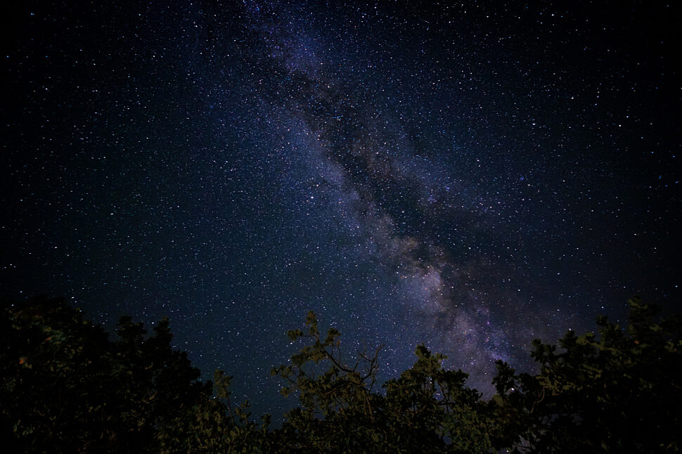 Milky Way stretches across a star-filled night sky above dark treetops.