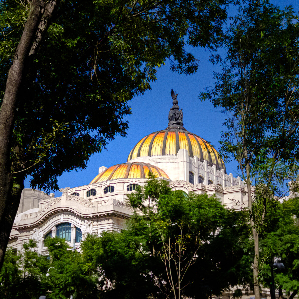 The white historic building with a large yellow-gold striped dome is framed by green trees against a clear blue sky.