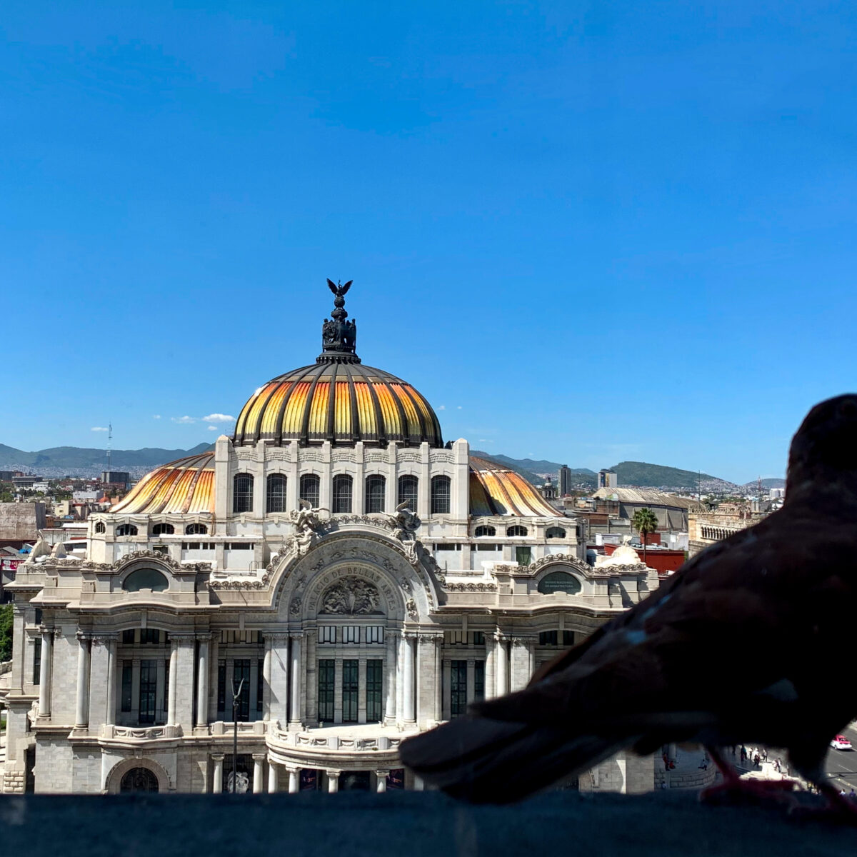 Distant cityscape with a grand domed building featuring a yellow-orange tiled dome, ornate arches, and a dark bird perched in the foreground.