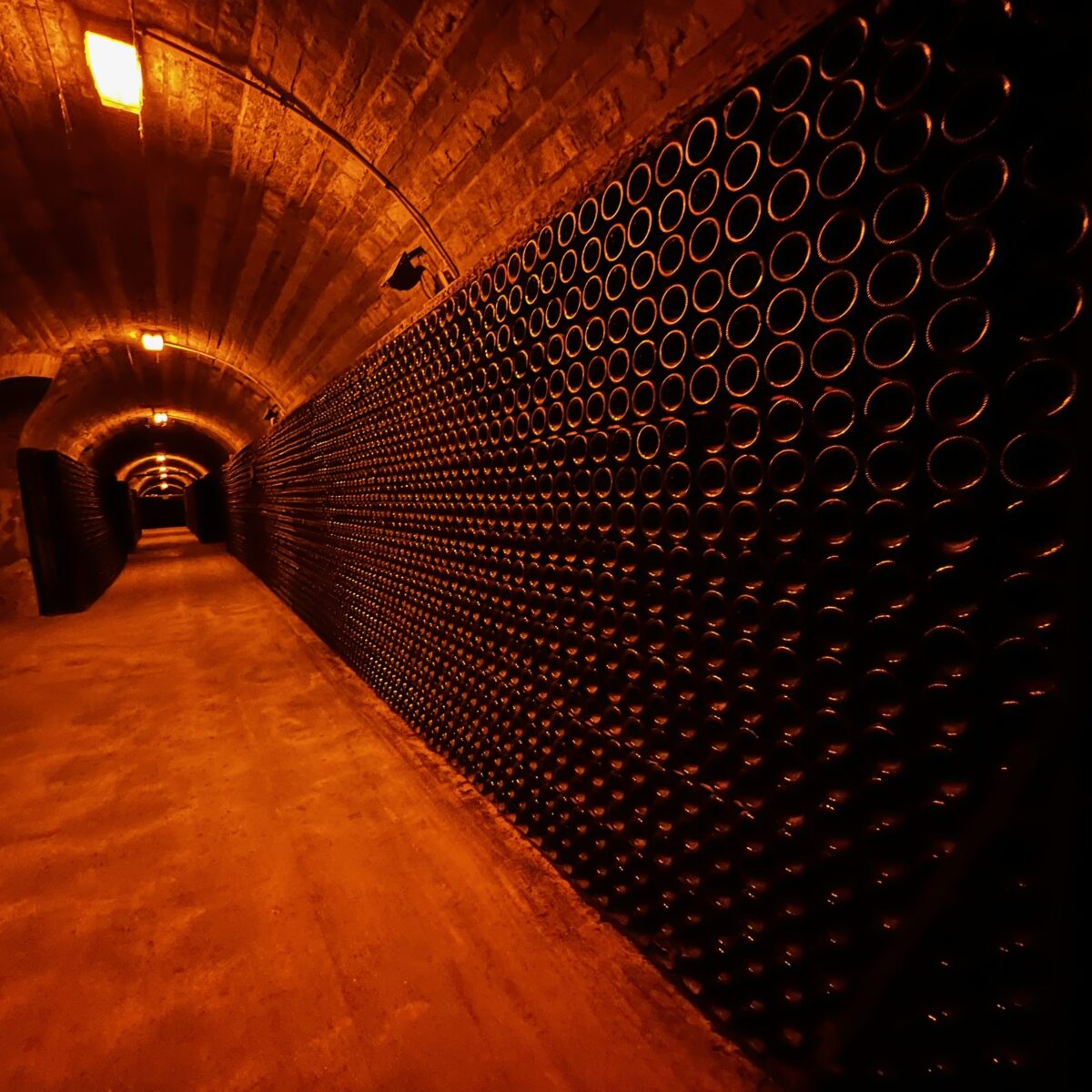 Dimly lit underground tunnel with arched brick ceiling, concrete floor, and a long wall lined with numerous wine bottles in circular rims.