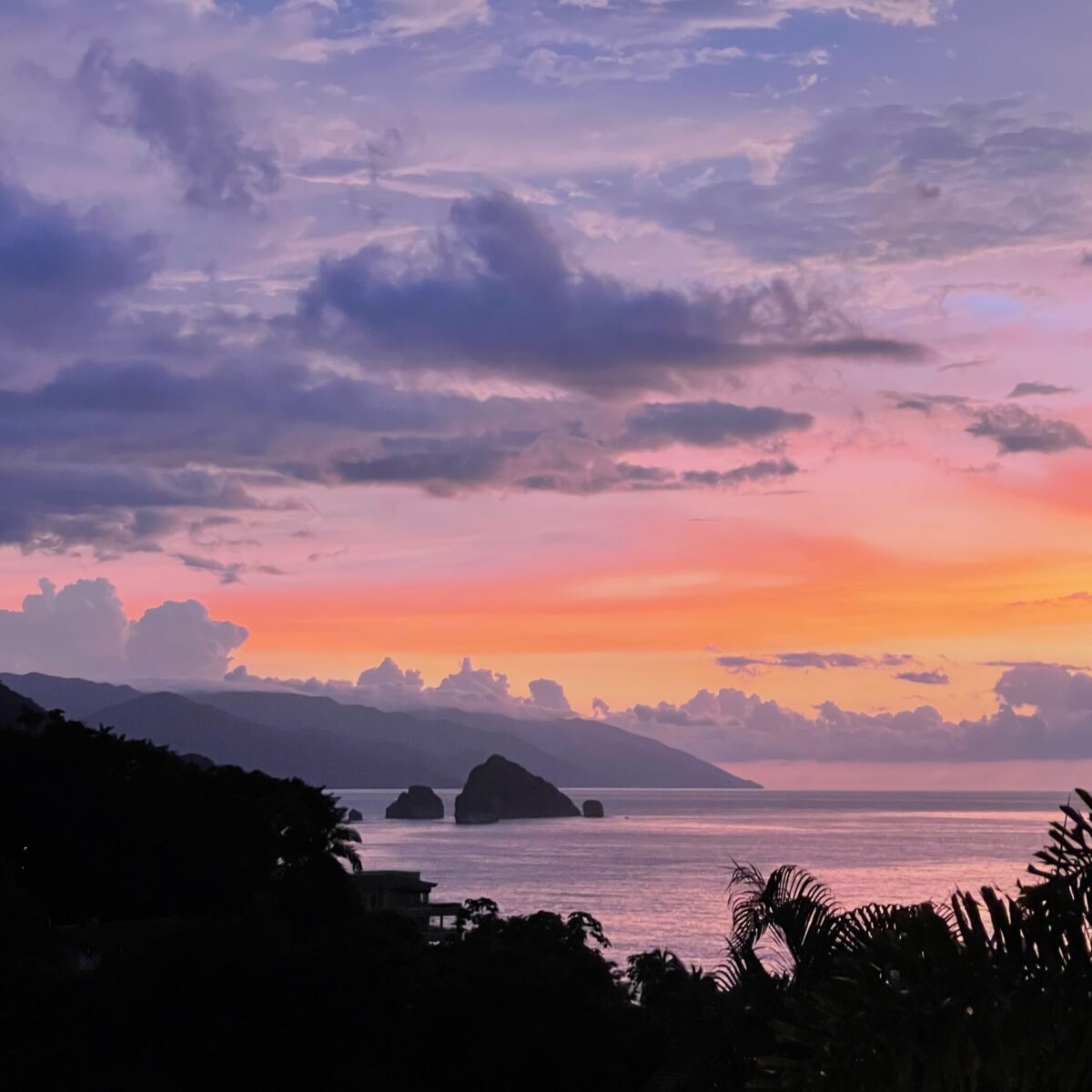 Horizon over calm ocean at sunset with pink, purple, and orange sky, silhouetted palm fronds and distant rocky islands along the shore.