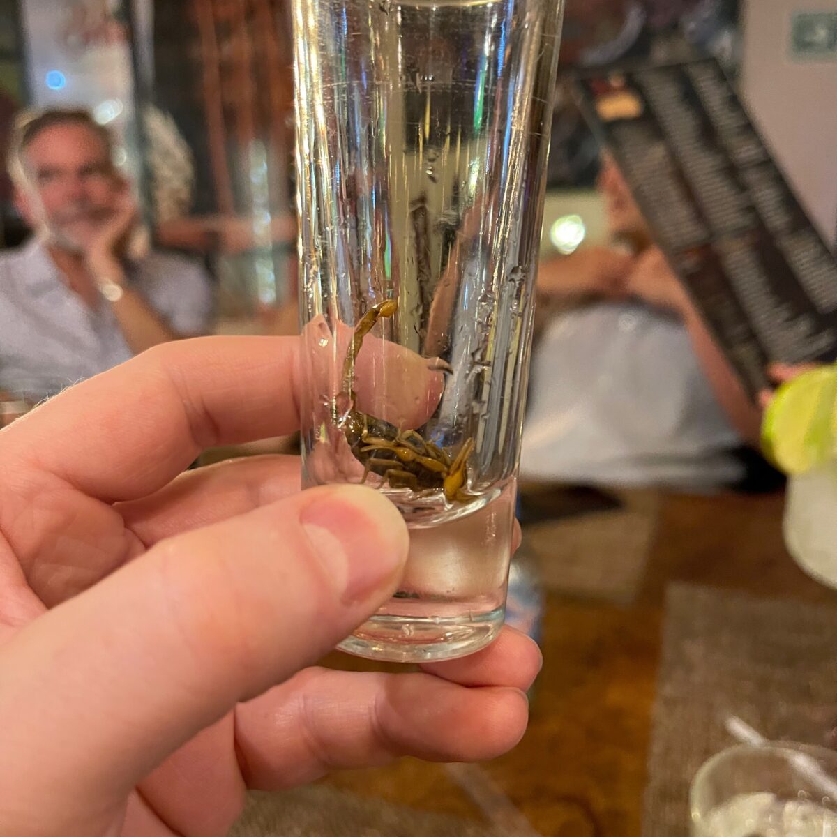 Thin glass shot glass held upright containing a small cluster of dark brown seaweed or plant fragments inside.