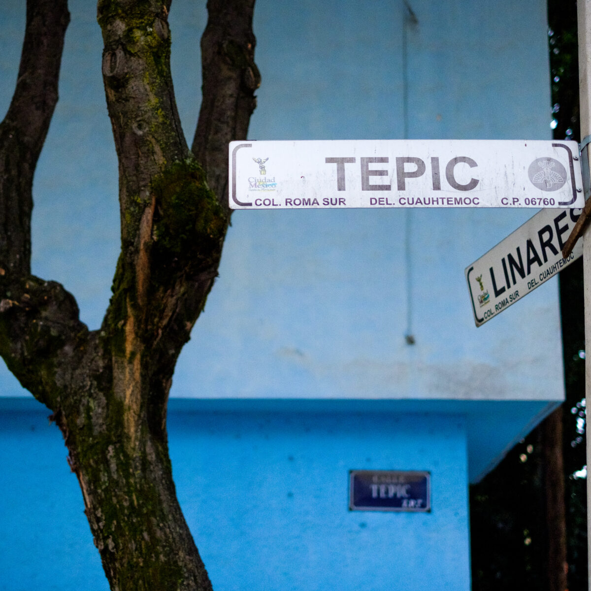 Street sign for Tepic and Linarejo on a light pole beside a blue building, with a tree trunk in the foreground.