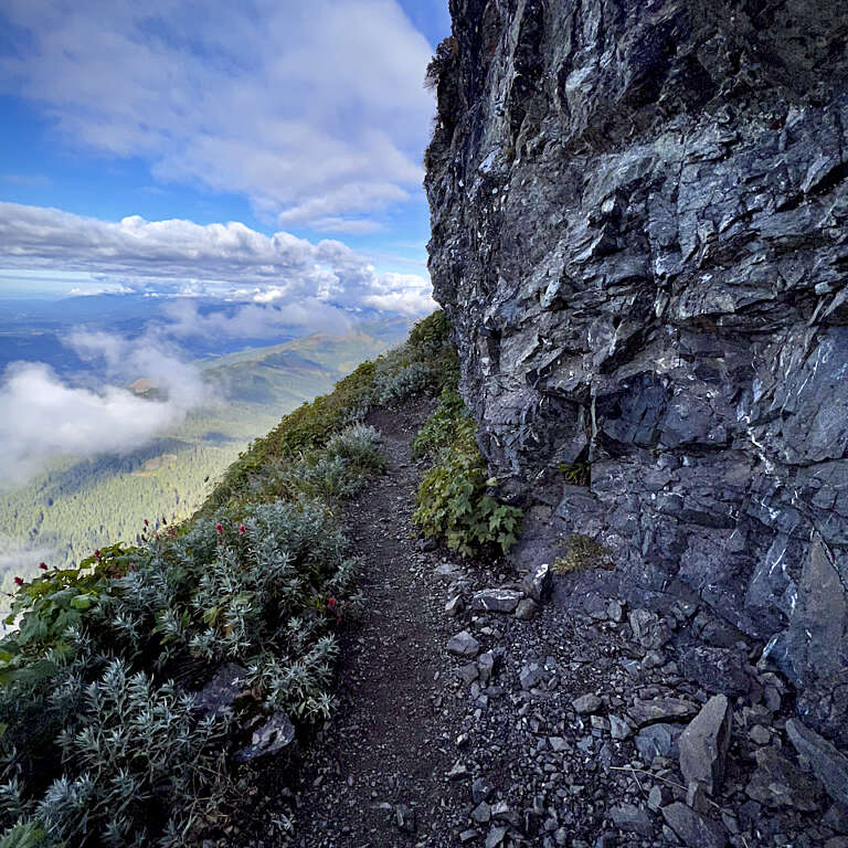 A narrow rocky trail along a steep cliff, with blue sky and clouds on the left, rugged gray rock face on the right, and green shrubs and small red flowers along the path.