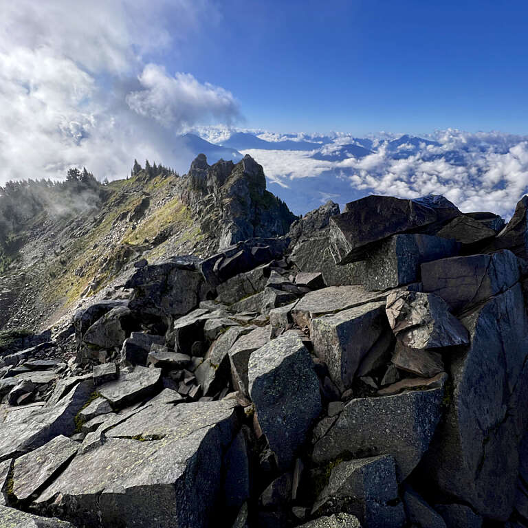 Rugged jagged rocks form a broken mountain ridge with a cloudy sky and distant peaks visible above the treeline.
