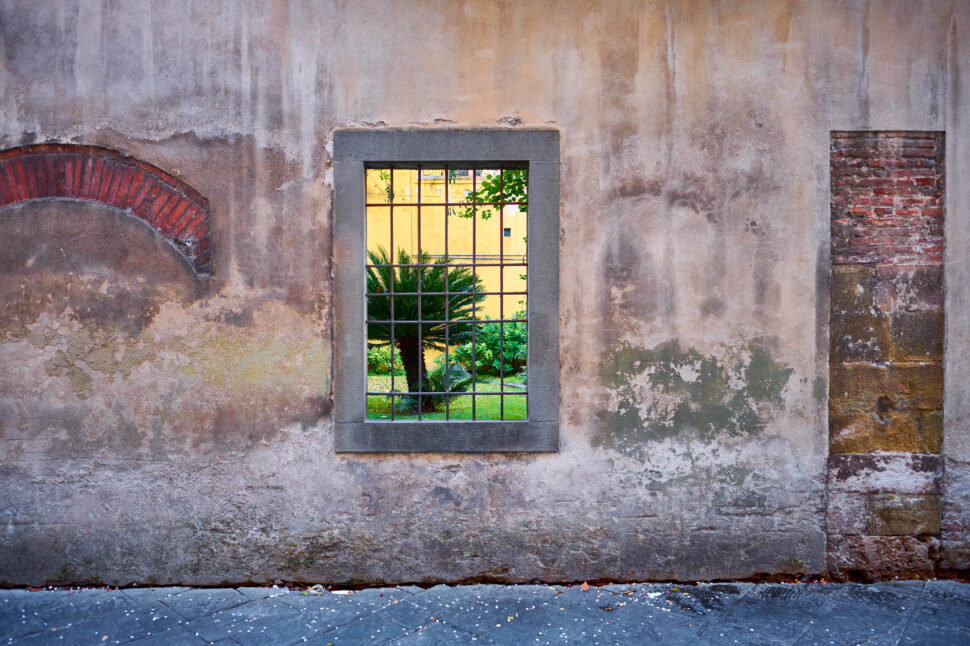 Worn stucco wall with a rectangular barred window showing a green plant and courtyard beyond.