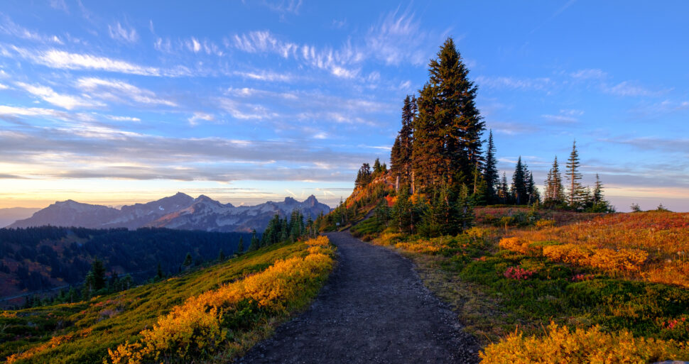 A dirt trail winds up a hillside dotted with evergreen trees and golden autumn shrubs, with distant mountains under a blue sky.