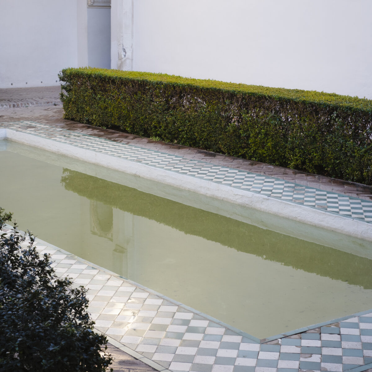 Rectangular courtyard pool with pale green water, bordered by a checkerboard tile edge and trimmed hedges beside a white wall.